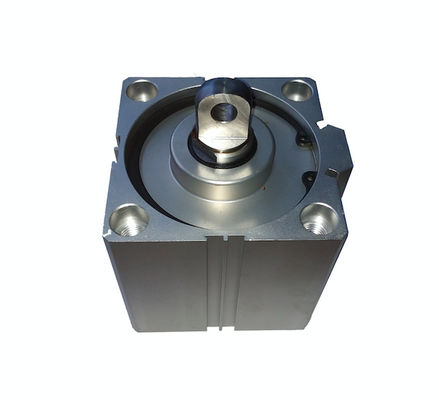 Single Action Air Cylinder  Single End Rod Pneumatic Cylinder for Robot Industry Through-hole Mounting supplier